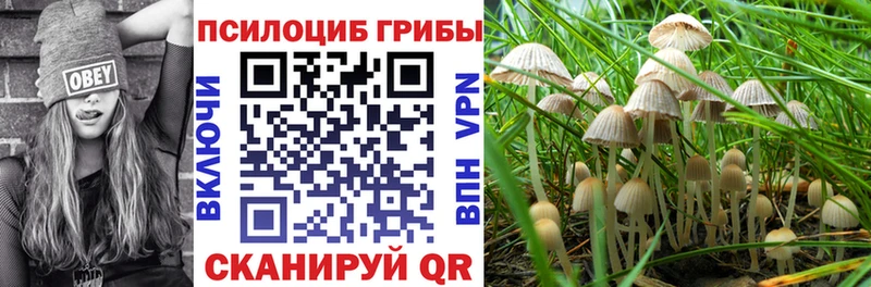 Галлюциногенные грибы GOLDEN TEACHER  Новокубанск 