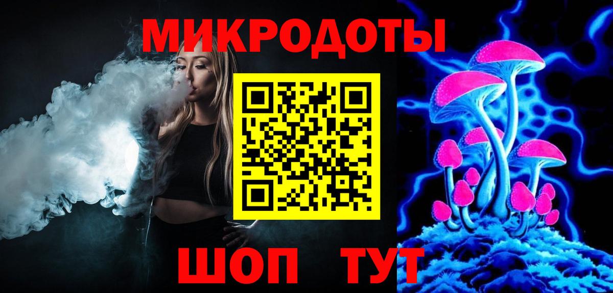Псилоцибиновые грибы Psilocybe Новокубанск